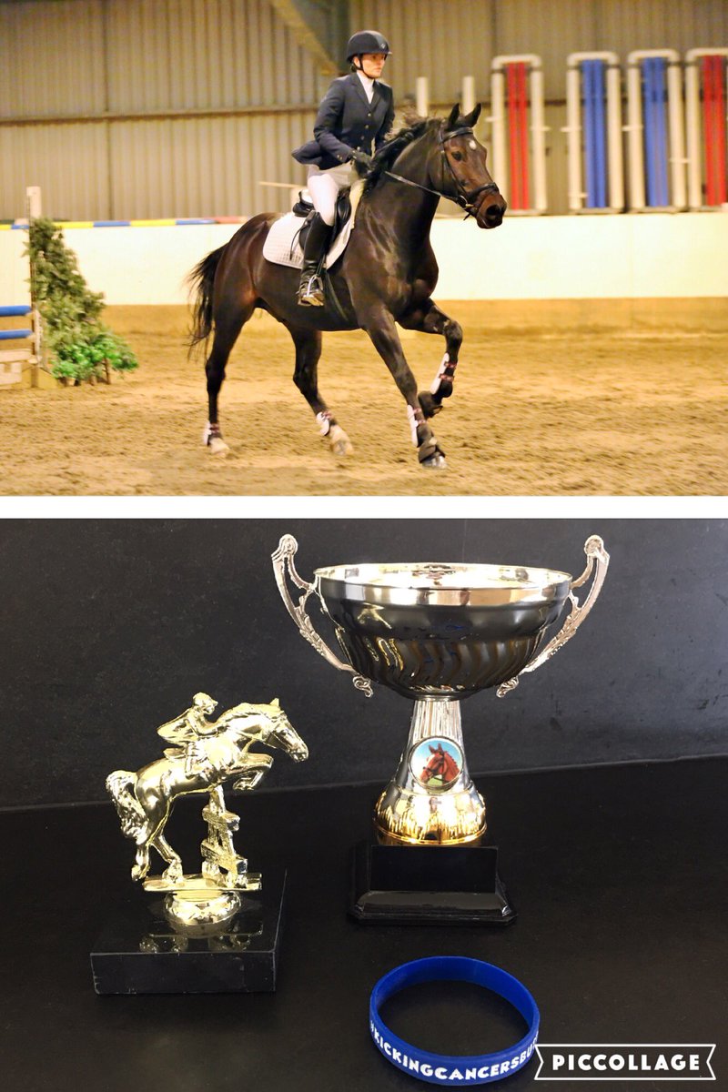 AmyParks7's tweet photo. @EgertonSH #WillberryWonderPony What a great cause, super proud to be a part. #ThisLegend #FirstShow https://t.co/Wf6LT2TF0G