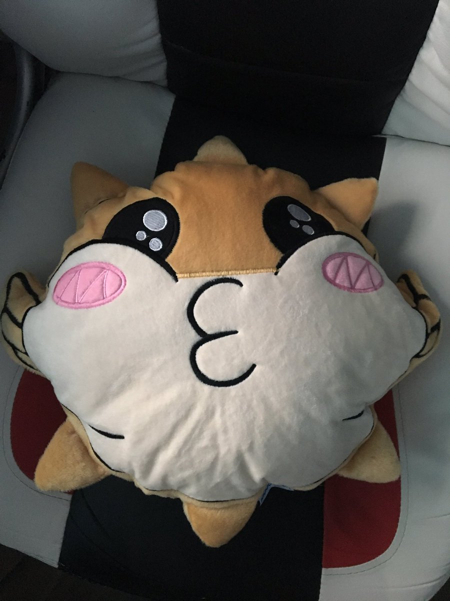 byPentox_'s tweet photo. 😍 @GermanLetsPlay https://t.co/3NDy181mSR