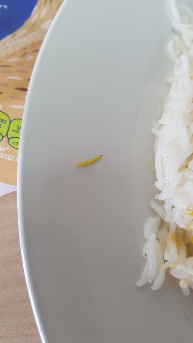 GodSorryCod's tweet photo. @Tesco @TildaBasmati  just found this in my Tilda rice i purchased from your Mayflower Retail Park store in Basildon 😷 https://t.co/Bt4L8rBx6U