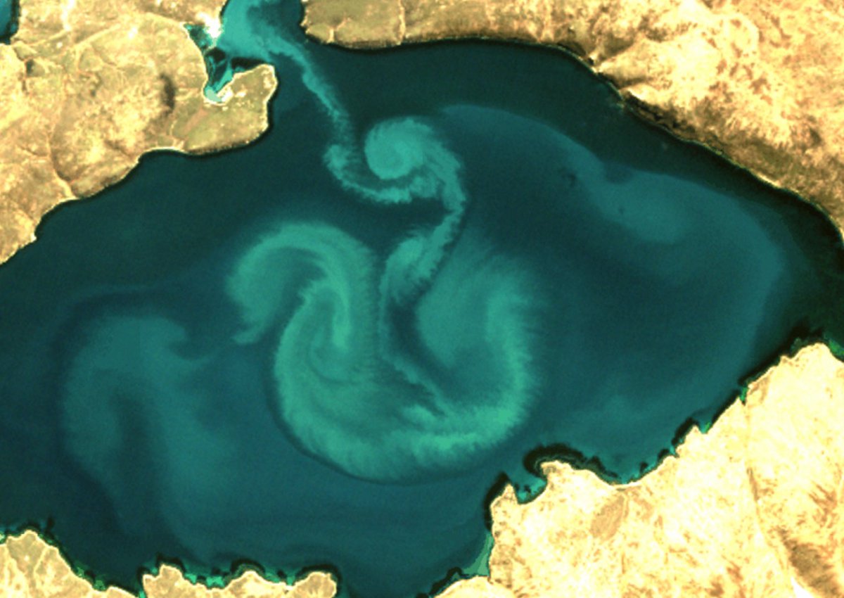 A dragon in Rio Verde Bay, West Falkland from <a href="/CopernicusEU/">Copernicus EU</a> <a href="/ESA_EO/">ESA Earth Observation</a> #Sentinel2 on 17/09/16
