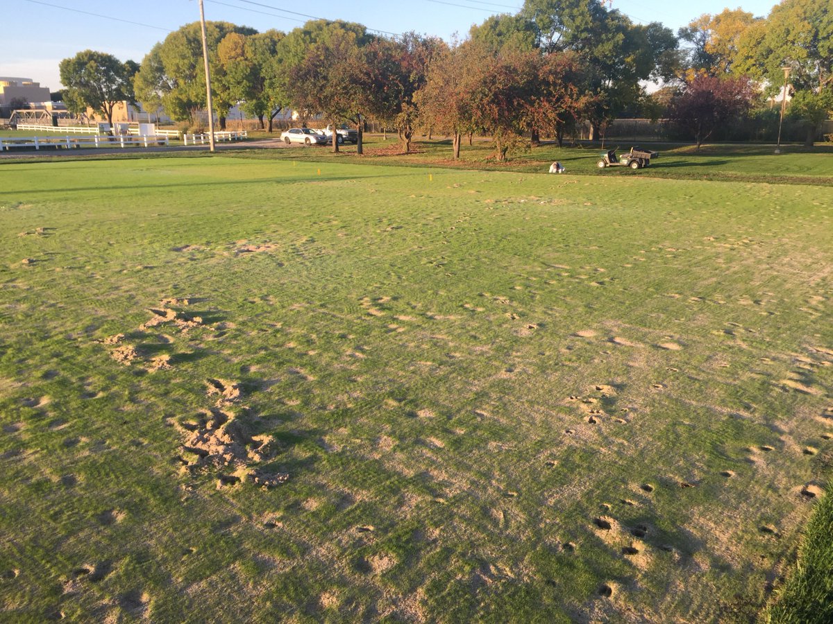 Joe Foral tweet media