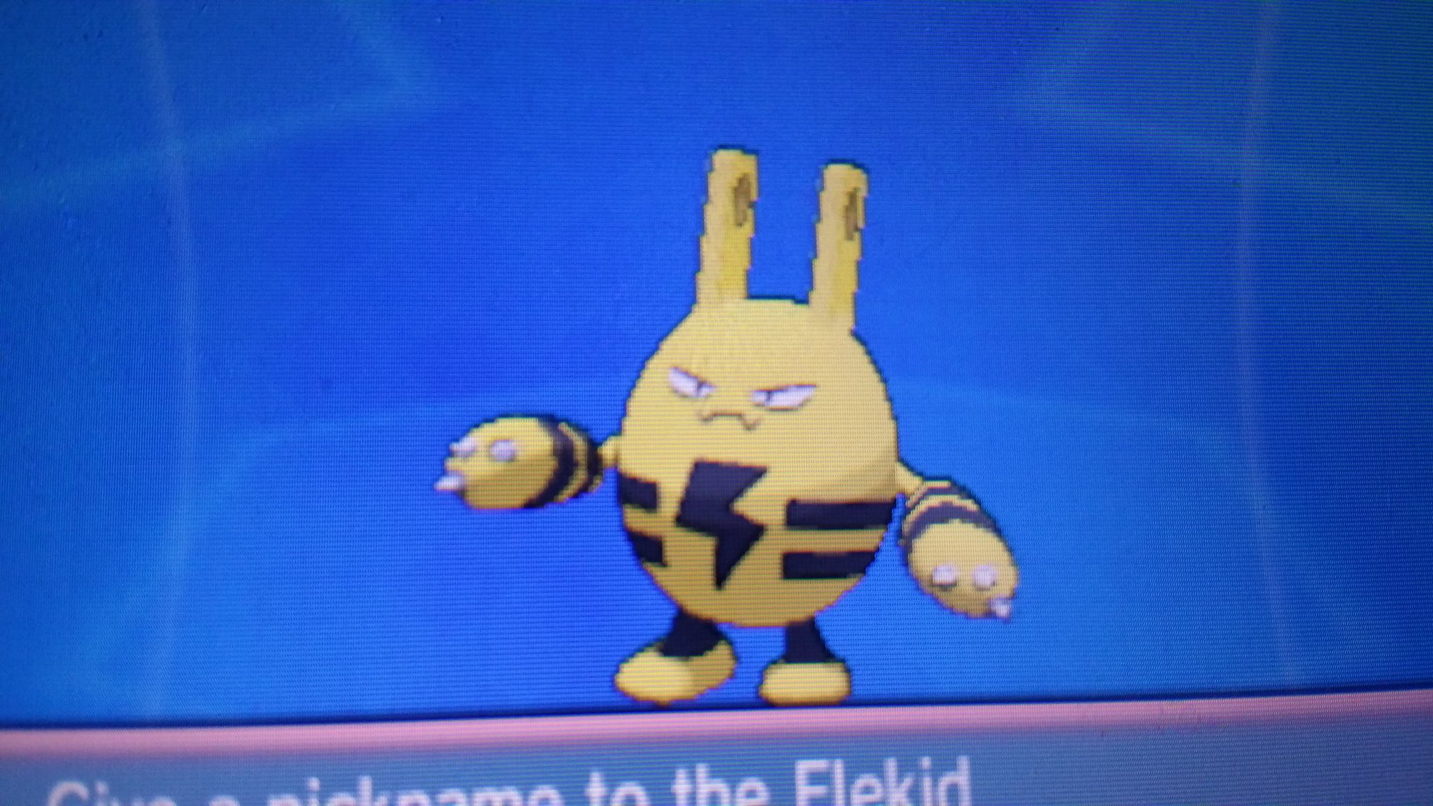 コジロウ 76体目でエレキッド光りますた 思いのほか早い登場でビックリしたよ 通常色とあんま変わらない