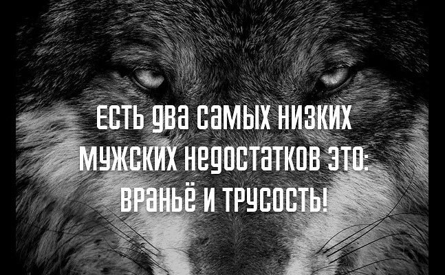 violagerman's tweet photo. @alessi70 https://t.co/qwbjf0qn3s