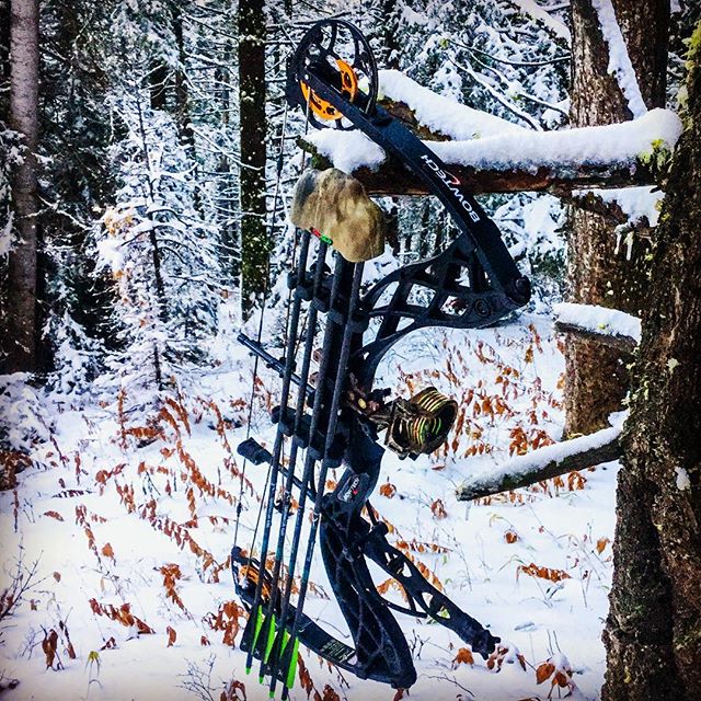 BowtechArchery's tweet photo. This is what archery season looks like in Montana π³ #hunting #snow #archery #bowtecharchery #carbonicon π·: eli_gossack https://t.co/r0FIEGjzCJ