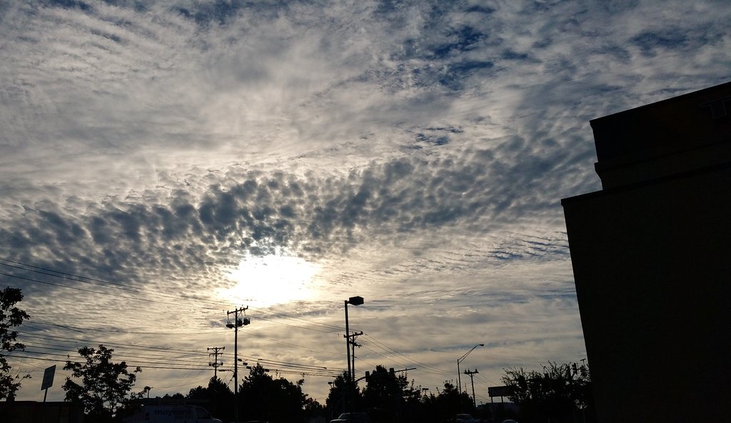rollinbyf8th's tweet photo. Its not hard 2 ❤ N'ville sunrises/skies. It makes it hard 2 get where needed in the AM when all u want 2do is pull over  &amp; 📸 #Nashville #615 https://t.co/OEmmsm0Jnh