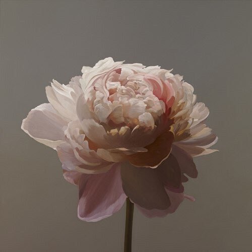 song boards tweet media