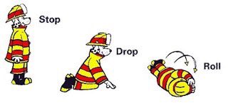 It's #FirePreventionWeek