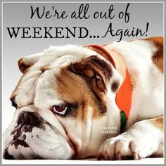 Happy Tuesday!! #TheSnackStation #ThisAndThatCanineCo #WeekendOver #Thanksgiving #UntilNextYear #Happy #Tuesday