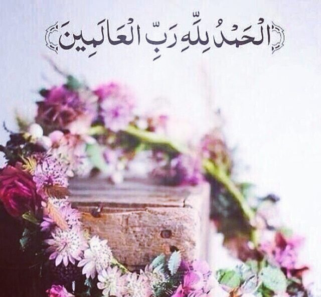 كنق النظيم tweet media