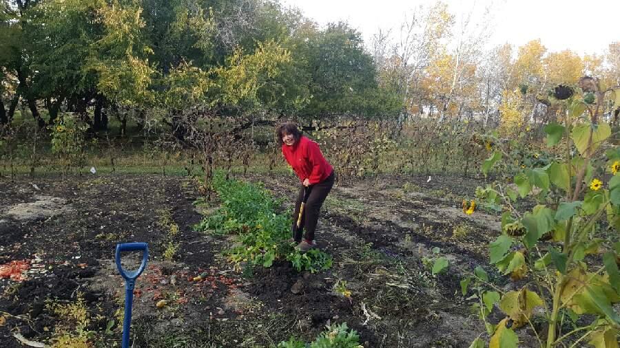 LloydPublic's tweet photo. We're doing a staff fitness challenge! Check out a Division Office staff member staying active in her garden! #MyLPSD #WeBeFit https://t.co/an5eeznUo8