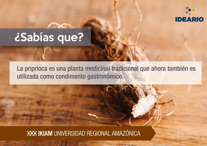 Ikiam Idearioikiam Es Una Mingacreativa Que Promueve La Ideas Para Impulsar La Innovacion Y Emprendimiento Participa Innovacion Ikiam Edu Ec T Co Vvzp53netg Ikiam Idearioikiam Es Una Mingacreativa Que Promueve La Ideas Para Impulsar La Innovacion Y Emprendimiento Participa Innovacion Ikiam Edu Ec T Co Vvzp53netg