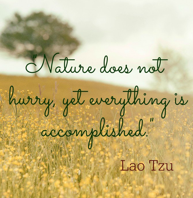 fizzy2socks's tweet photo. https://t.co/hVwaqZK9nm 🌻🌻🌻 #quoteoftheday #nature #wisewords #LifeLessons #dailygreatness https://t.co/DXrBFyPcrQ