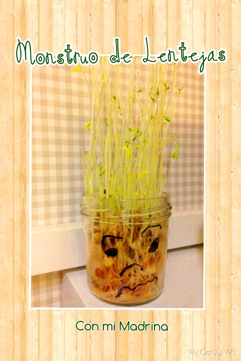 PumpkinCat_'s tweet photo. ¿Ya has leído la entrevista que le hicimos a Elena, del blog 🍋@conmimadrina🍋 ? 
https://t.co/AwOreaWotT
#bloginfantil #blog #entrevista https://t.co/ZIIMpGN4v0