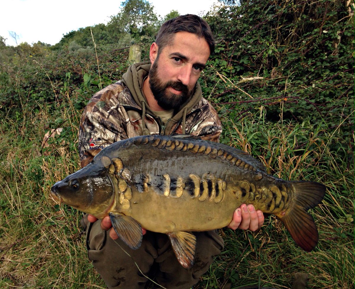 FlattD82's tweet photo. A couple of stunning doubles from the weekend up to 17.9 on @DenhamBaits the element &amp; @kingofthepond end tackle #denhambaits #fearthebeard https://t.co/JMyfi8lJrB