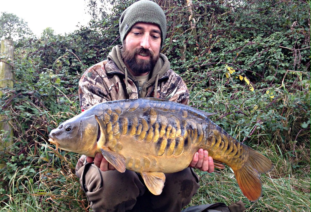 FlattD82's tweet photo. A couple of stunning doubles from the weekend up to 17.9 on @DenhamBaits the element &amp; @kingofthepond end tackle #denhambaits #fearthebeard https://t.co/JMyfi8lJrB