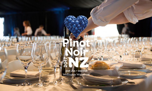 PinotNoirNZ's tweet image. The sold out signs are nearly ready to be put out for Pinot Noir 2017 bit.ly/2epd3L5 🍷 #PinotNoirNZ #nzwine