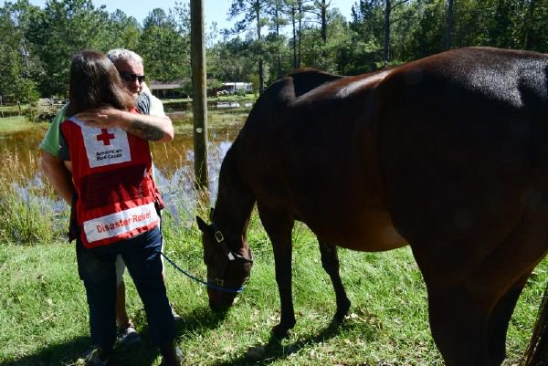 RedCross's tweet photo. Red Cross continues to provide shelter, food &amp; relief supplies to people suffering in the wake of #HurricaneMatthew: https://t.co/nZo2aZkaxR https://t.co/fzL3qXEKij