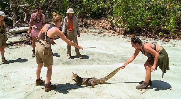 animal_progress's tweet photo. Agree animals shouldn't have to suffer for UK TV shows like #CelebrityIsland?

Please take a moment to sign/share:

https://t.co/x6qW0DNz5A https://t.co/ggzaZjtu6z