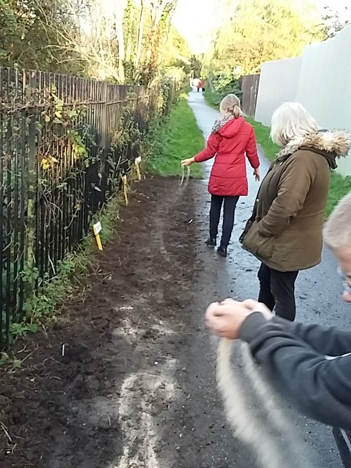 GreenSynergyLN2's tweet photo. Wildflowers for the Viking Way. Thank you @GrowWildUK @GrowWildEngland https://t.co/NTmzwE3lE0