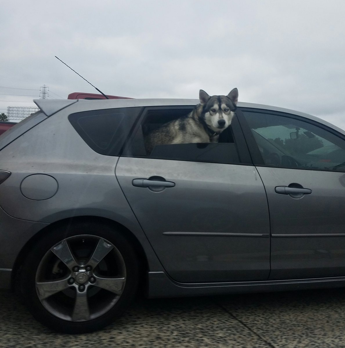 CM_Saygo's tweet photo. I wanna go where this guy is going https://t.co/fcDSLEVqKa