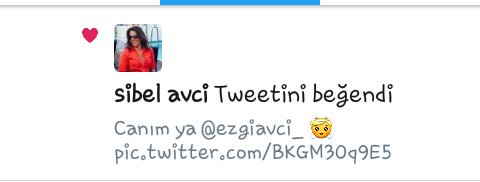 Teşekkür ederim <a href="/mkibele/">sibel avci</a>