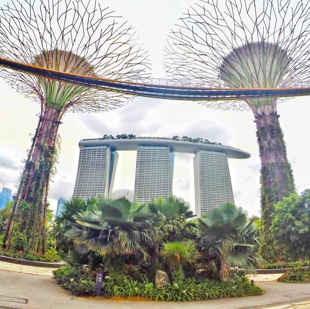 Traveling_Jeff's tweet photo. Those incredible views in gardens by the bay 🇸🇬 Have you ever been to marina bay sands? #singapore #mbs https://t.co/Fo1qILBuHP