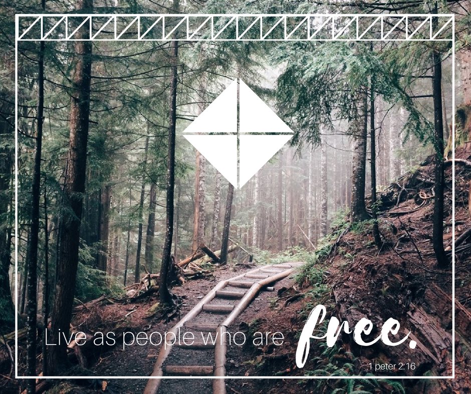 graceintlchurch's tweet image. Freedom bought at such a costly price shouldn't be reduced to a pass for justifying sin. We are servants of Christ.