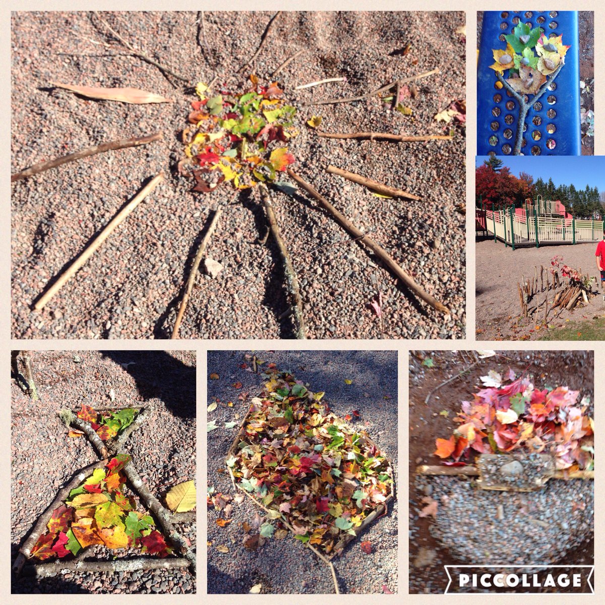mackaype's tweet photo. Last night's windstorm brought down all kinds of art materials for our gr. 3 students #valleyelementary @CCRSB_Official #getoutside https://t.co/hXmlmMeZh4