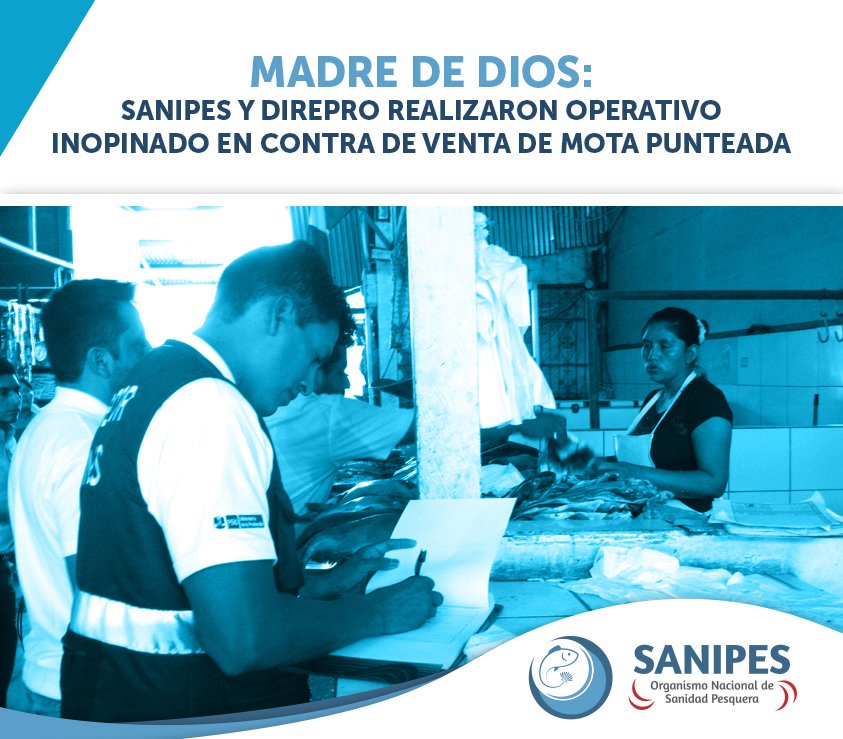 SanipesPeru's tweet photo. @SanipesPeru y #Direpro realizaron operativo contra la venta de #MotaPunteada en #MadreDeDios https://t.co/JvNVYVY7qQ https://t.co/WJbnxO7PR0