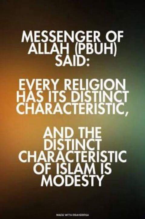keenwayfarer's tweet photo. themodestlife #modestisbeautiful #modestiscool #ModestyInIslam https://t.co/YfmhQc8dwu