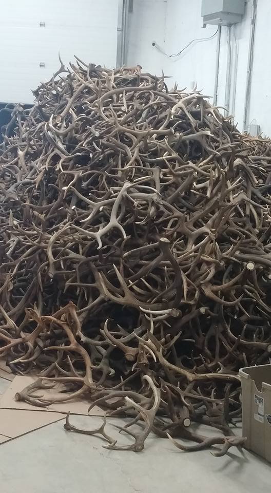 And Another Shipment has Arrived......