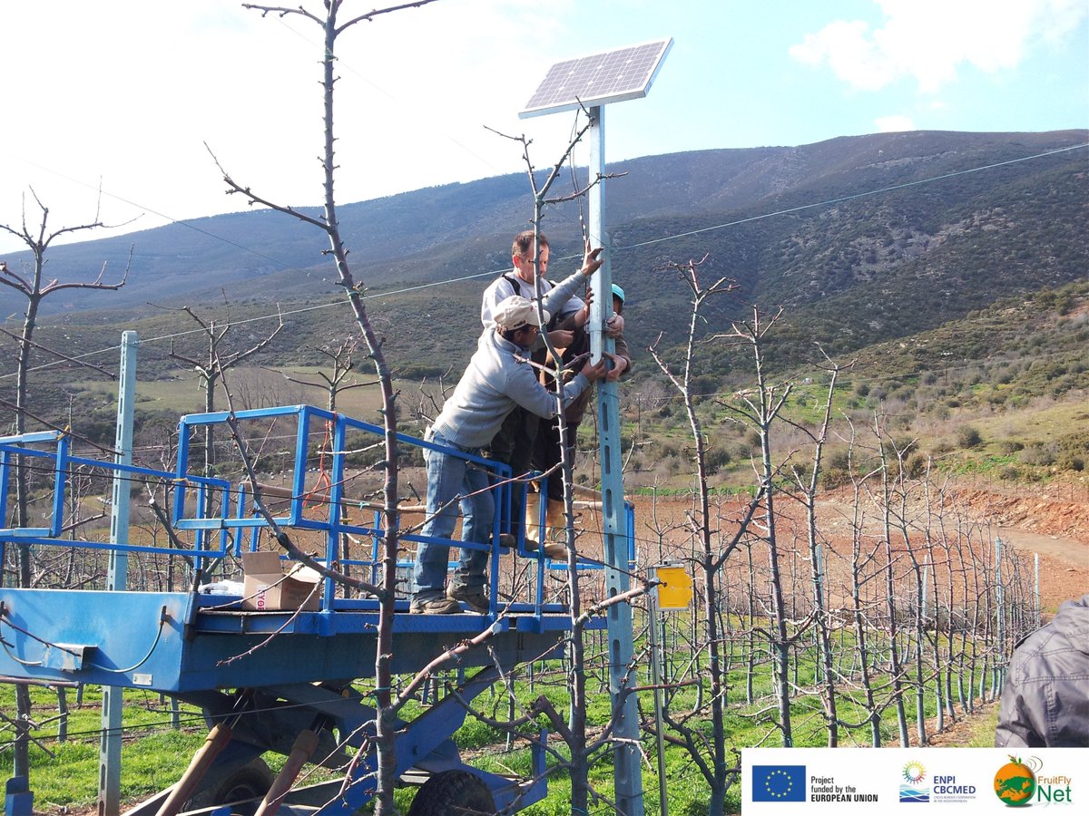 interregnextmed's tweet image. Suivi à distance des mouches des fruits pour 1 épandage efficace et +propre: résultats @FruitFlyNet bit.ly/2d5iXkj #MadeinENPIMED