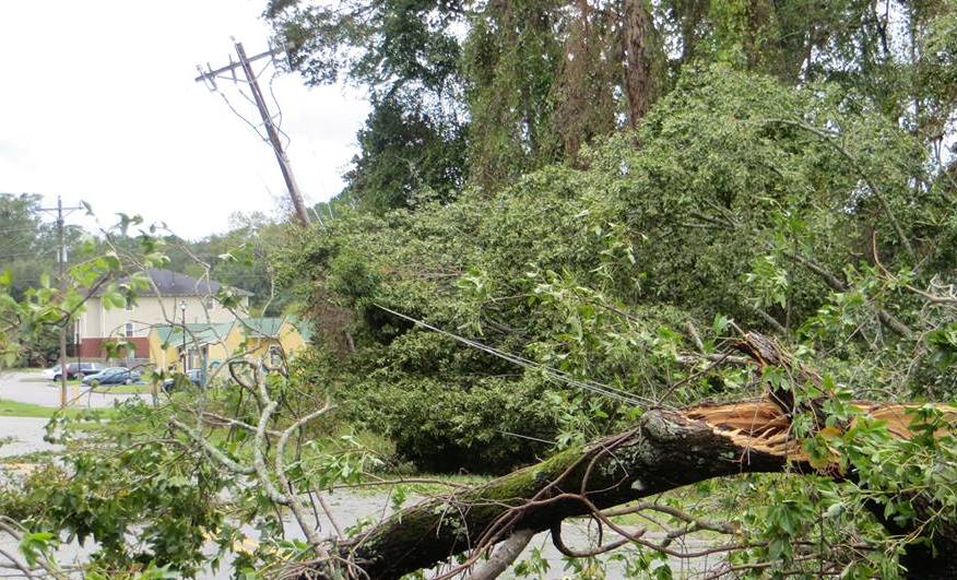 ECT.coop tweet media