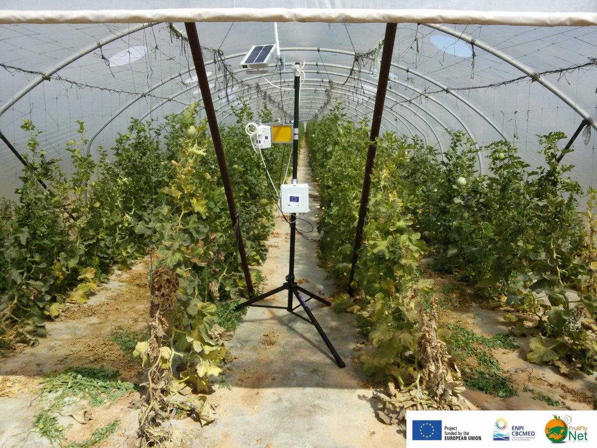interregnextmed's tweet image. Remote monitoring of fruit flies for efficient, cleaner spraying: results of @FruitFlyNet bit.ly/2d5iXkj #MadeinENPIMED