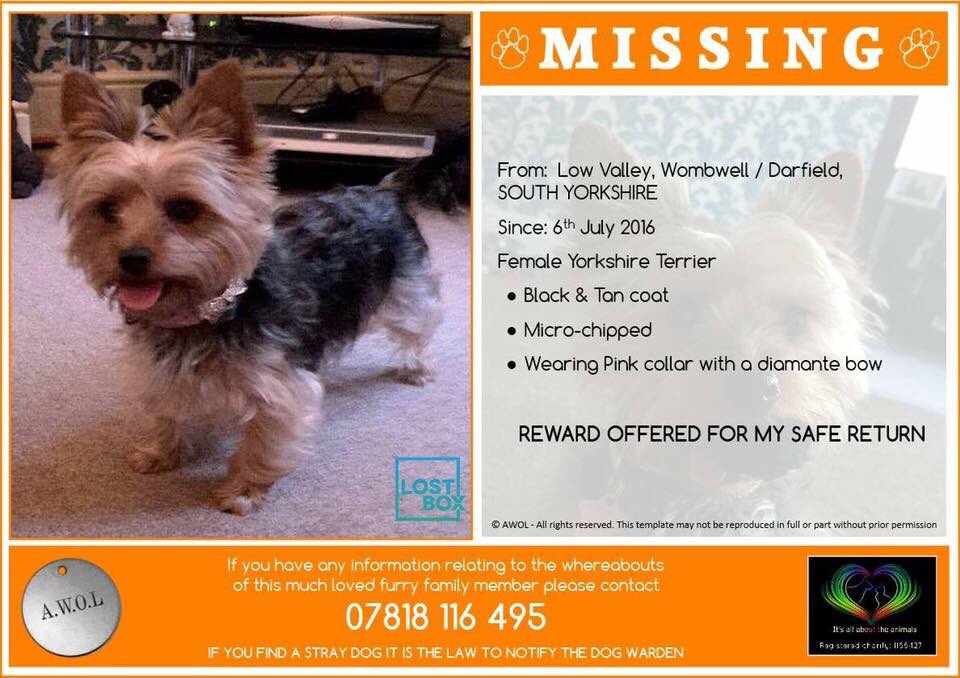 lostmissingsto2's tweet photo. π Please RT #FindRuby #MissingDog #LowValley #Wombwell #Darfield #SouthYorkshire 06/07/16 #scanme π https://t.co/hDzafTTcPl