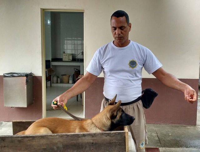 GMRio's tweet photo. O treinamento e o cuidado com nossos amigos caninos faz parte da rotina do Canil da @Gmrio.
#GCG
#OperacoesComCaes
#SomosAGuarda https://t.co/civ3ikvsxl