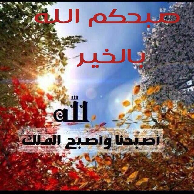 sami68942506's tweet photo. https://t.co/wXWrQzQoMO