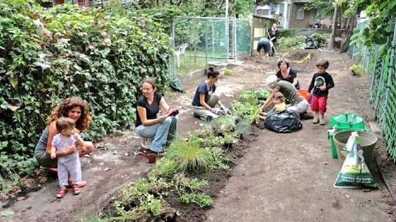 AgricultureUrbaine tweet media