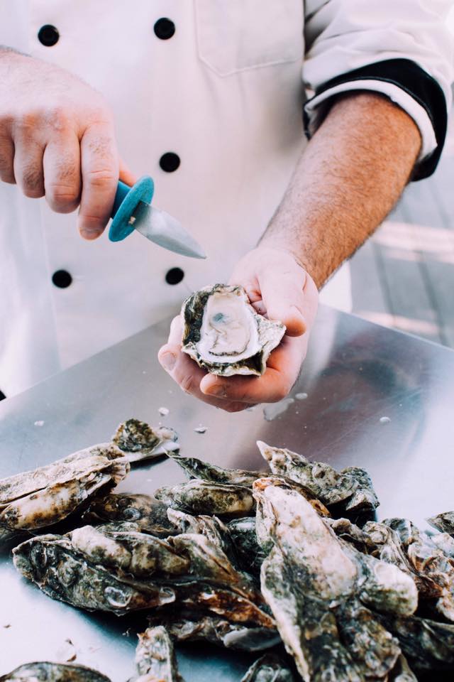 StJudeFarmsSC's tweet photo. Having a shucking good time.
#EatSJF #EatFresh #EatLocal #OysterSeason #OysterRoast https://t.co/OoNmBoUCD9