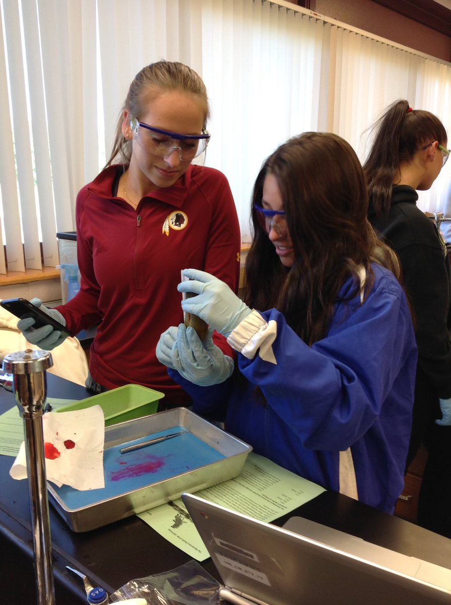 health_nbc's tweet photo. @NBC_science Repasy's Anatomy classes performing an autopsy on Mr. Dill Pickle! https://t.co/m4st8DlIGu