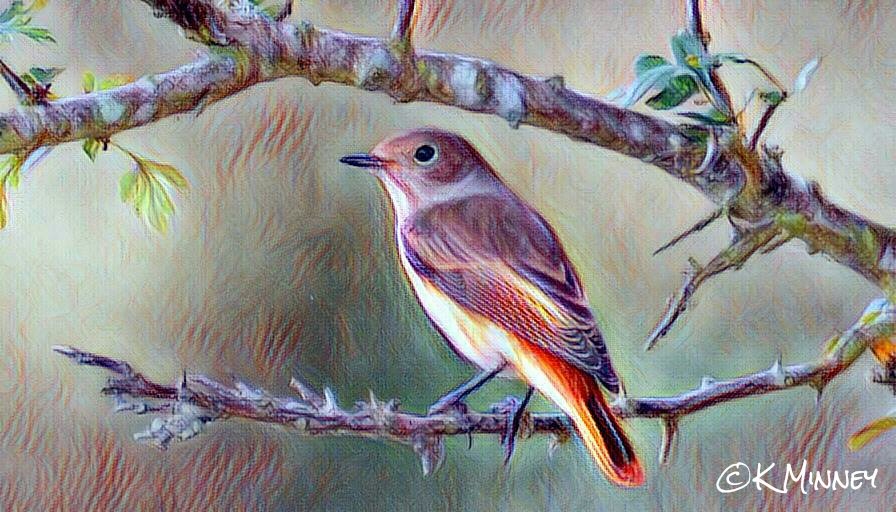 minneyb2k's tweet photo. Thinking of trying to sell prints, here's a few examples, opinions welcome good or bad https://t.co/BJ9TKCZHCV