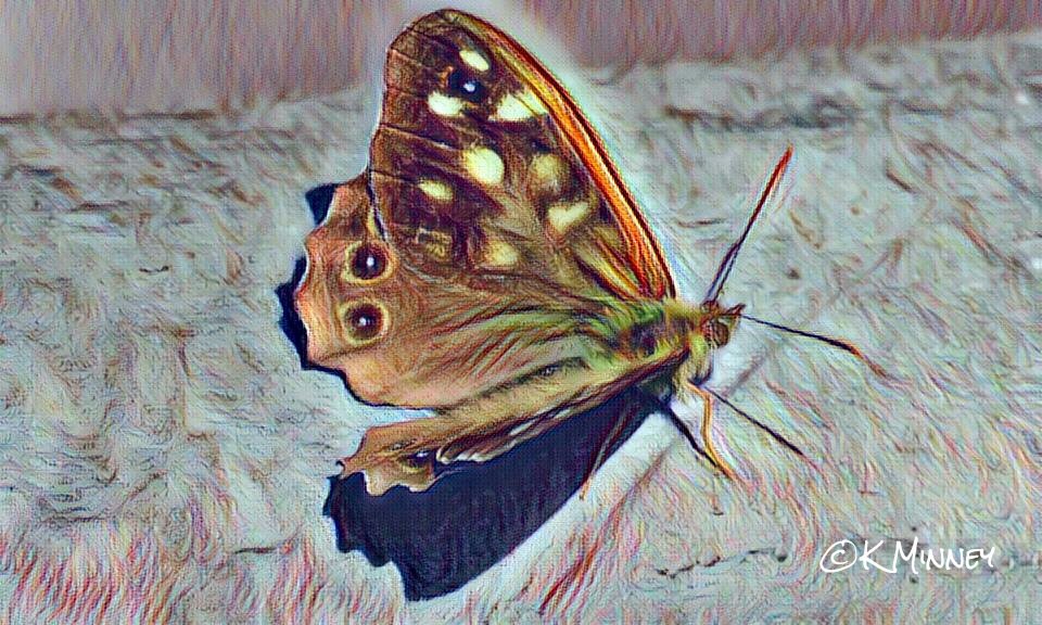 minneyb2k's tweet photo. Thinking of trying to sell prints, here's a few examples, opinions welcome good or bad https://t.co/BJ9TKCZHCV