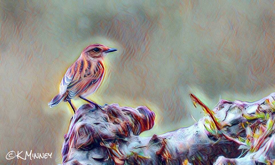 minneyb2k's tweet photo. Thinking of trying to sell prints, here's a few examples, opinions welcome good or bad https://t.co/BJ9TKCZHCV