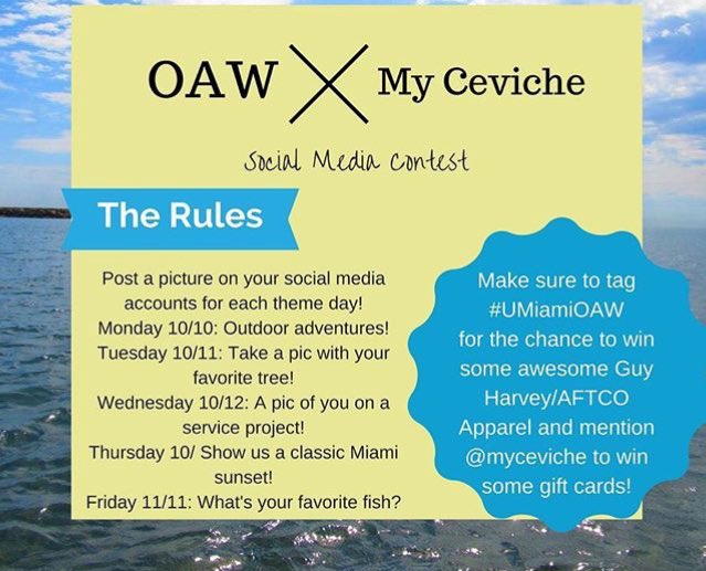 OAWUMiami's tweet photo. Yesterday we launched our social media contest for OAW 2016! Take a pic of you with a tree and hashtag #UMiamiOAW to enter our raffle! https://t.co/POP0dxpe72