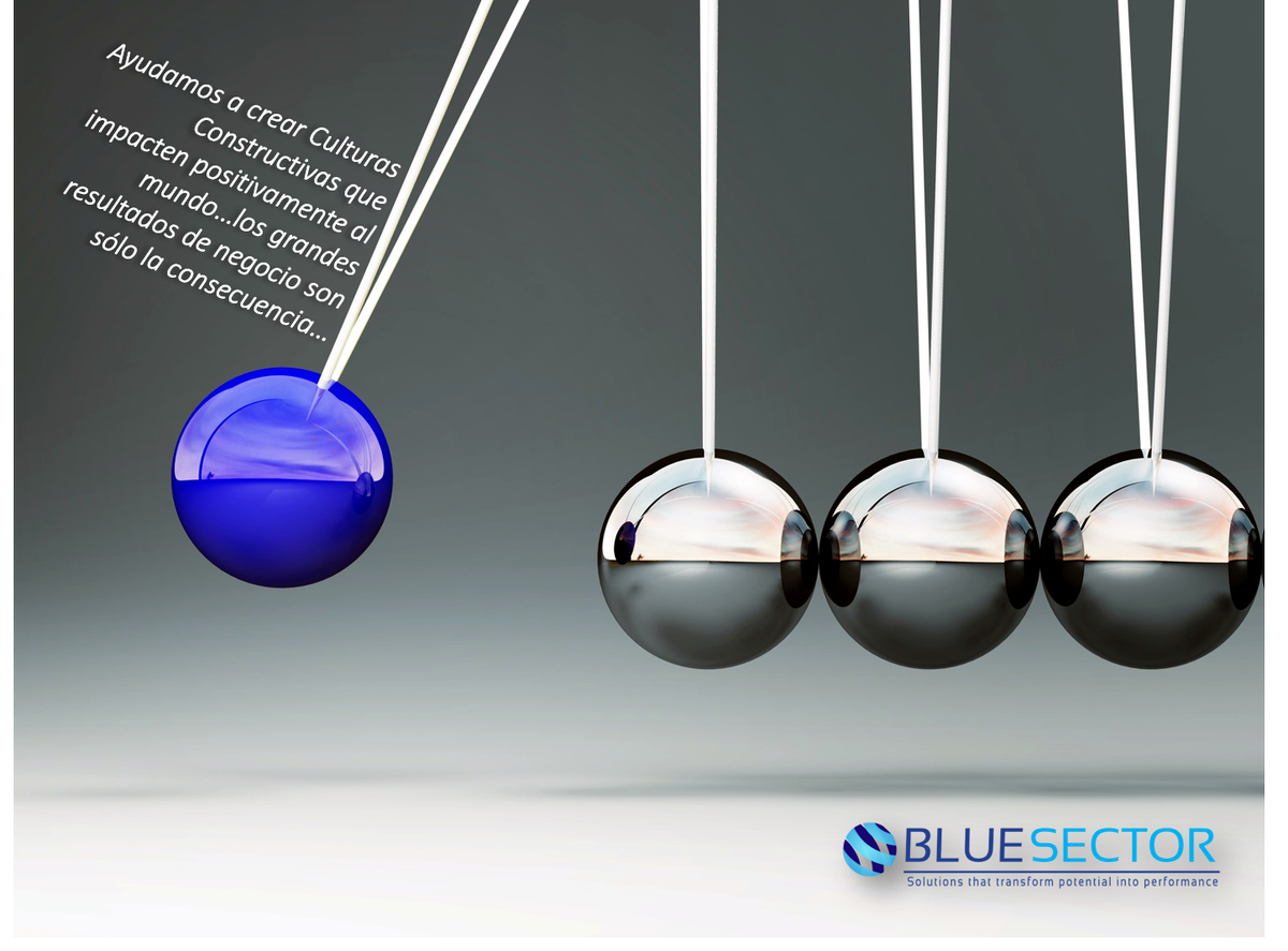 bsgmex's tweet photo. #culturasconstructivas
#suculturaimporta https://t.co/MZfks0EdbE