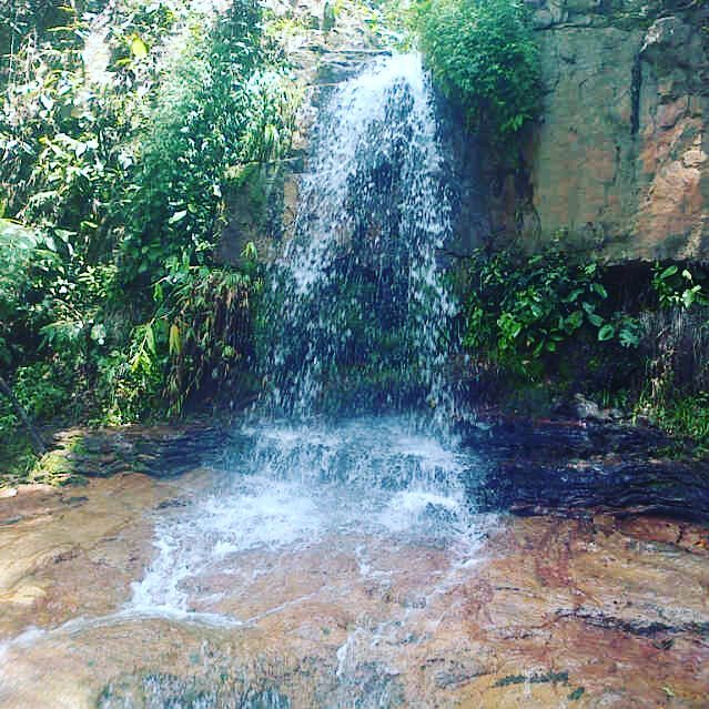andream64522281's tweet photo. UN dia diferente cn las personas que quiero #guasina #cascadas💞💘👏😍 https://t.co/X14fExu4ba