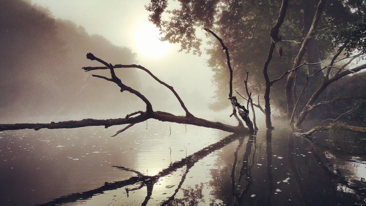 remirem2's tweet photo. #creuse #chitray #berryprovince #photography #photoftheday #indre #regioncentre #fishing https://t.co/fulIaUydPE