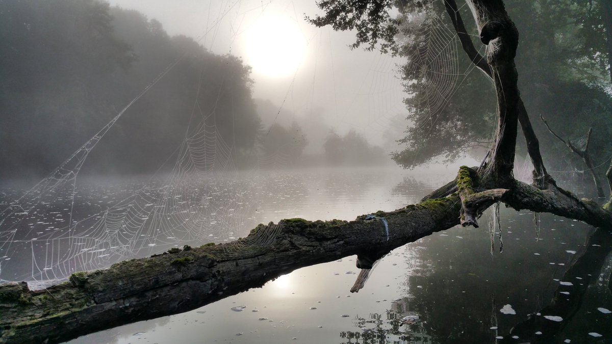 remirem2's tweet photo. #creuse #chitray #berryprovince #photography #photoftheday #indre #regioncentre #fishing https://t.co/fulIaUydPE