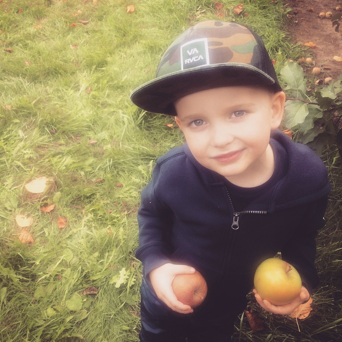 TobiRiley's tweet photo. @SherwoodPS kindergarten class trip to Natures bounty farm #applepicking #sometimesheissweet #hearthim @shwaboy99 @applefarm_cathy https://t.co/wiDHuwOwIj