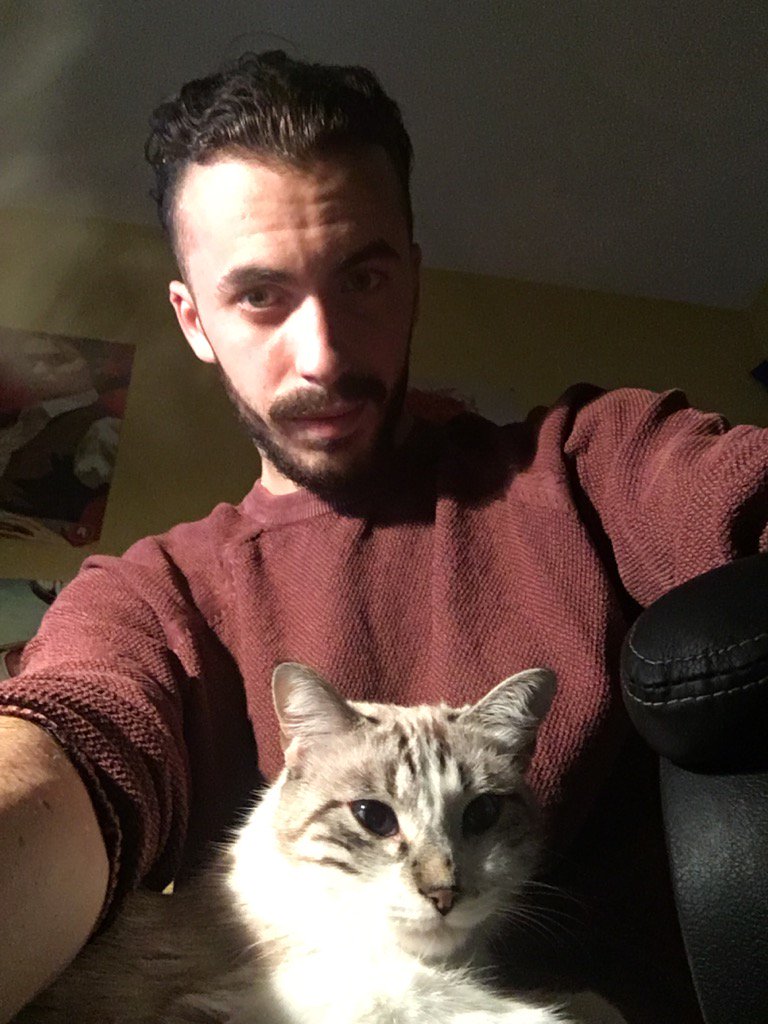 F7Sammy's tweet image. Gatitoooo 😻